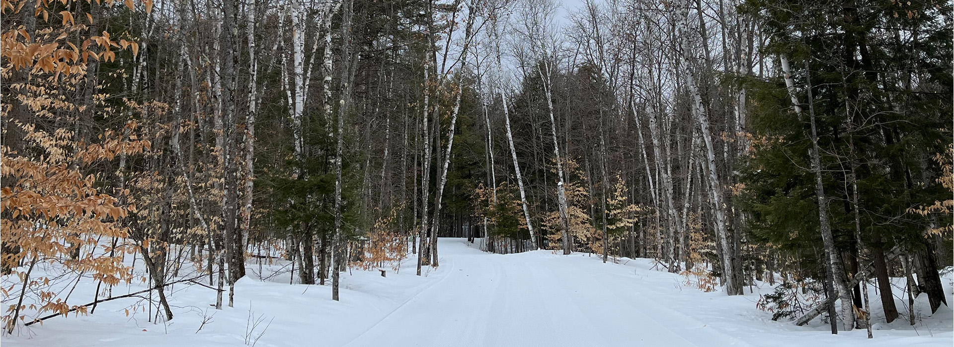 View down the snow covered, freshly groomed Oslo trail at the North Creek Ski bowl with the birch and pine forest framing the trail as it bends slightly through the woods.