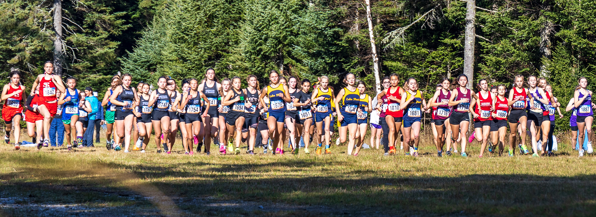 A field of high school girl runners starting a cross country race at Mt Van Hoevenberg with many runners spread across the image focused on the trail in front of them on a bright sunny day with trees in the background.